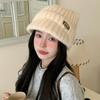 New Autumn and Winter Cat Ear Knitted Wool Hat Korean Casual and Versatile Warm Hat Outdoor Windproof Ear Protection Hat