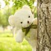 New Sweater Bear Plush Toy Cute Sweater Teddy Bear Doll Grabbing Machine for Girls Gift Doll