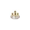 Образцы крема Cheongidan Rejuvenating Pro-Radiance