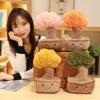Fun Pot Series Plush Lucky Bamboo Dragon Beard Tree Plants Stuffed Plushies Toys Soft Decor Doll Money Tree Potted Pillow