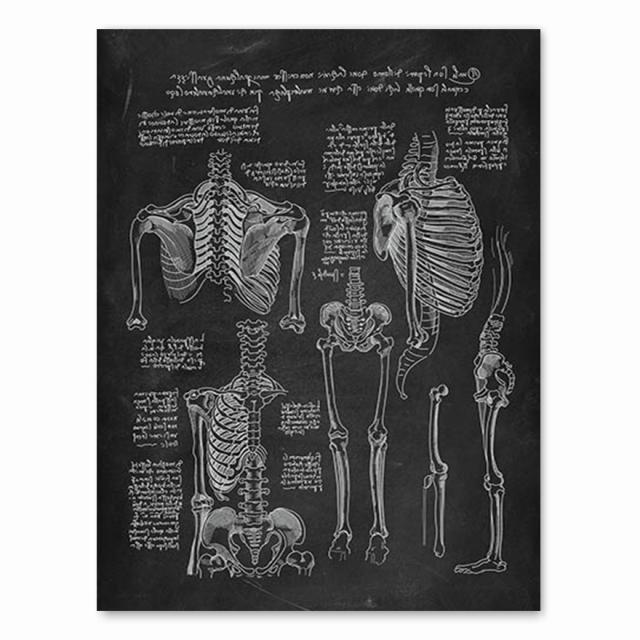 Анатомия человека, художественная работа, медицинская клиника, настенная картина, скелет, орган, мышечная система, винтажный холст с принтом, плакат для обучения телу, без рамки