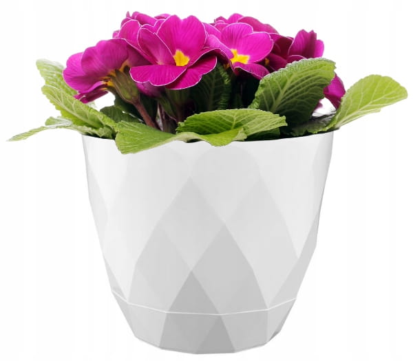 Plastic Planter Cover with Saucer