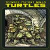 Teenage Mutant Ninja Turtles MacroSeries by Ian Flynn Paperback Book 9781684054831