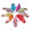 50 шт DIY Craft Jewelry Accessories Natural Feather 4-8 см Crafts Handmade Materials Clothes Bags Sheeting Decoration