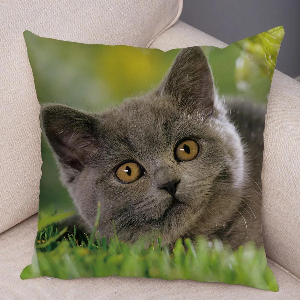 Русская голубая Британская короткошерстная Наволочка Декор Милый кот Домашнее животное Животное Наволочка Мягкий плюшевый Чехол для подушки для машины Дивана Дома