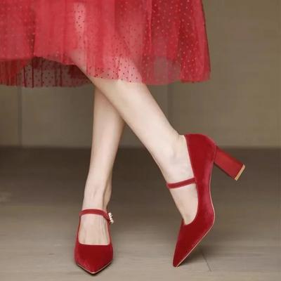 2025 Женская обувь Мэри Джейн Женские туфли на высоком каблуке Модные туфли-лодочки Женские туфли с острым носком и пряжкой на ремешке на толстом каблуке Женские