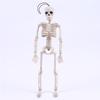 Posable Скелет Хэллоуин Декор Страшный человек Кость Жуткое украшение для вечеринки