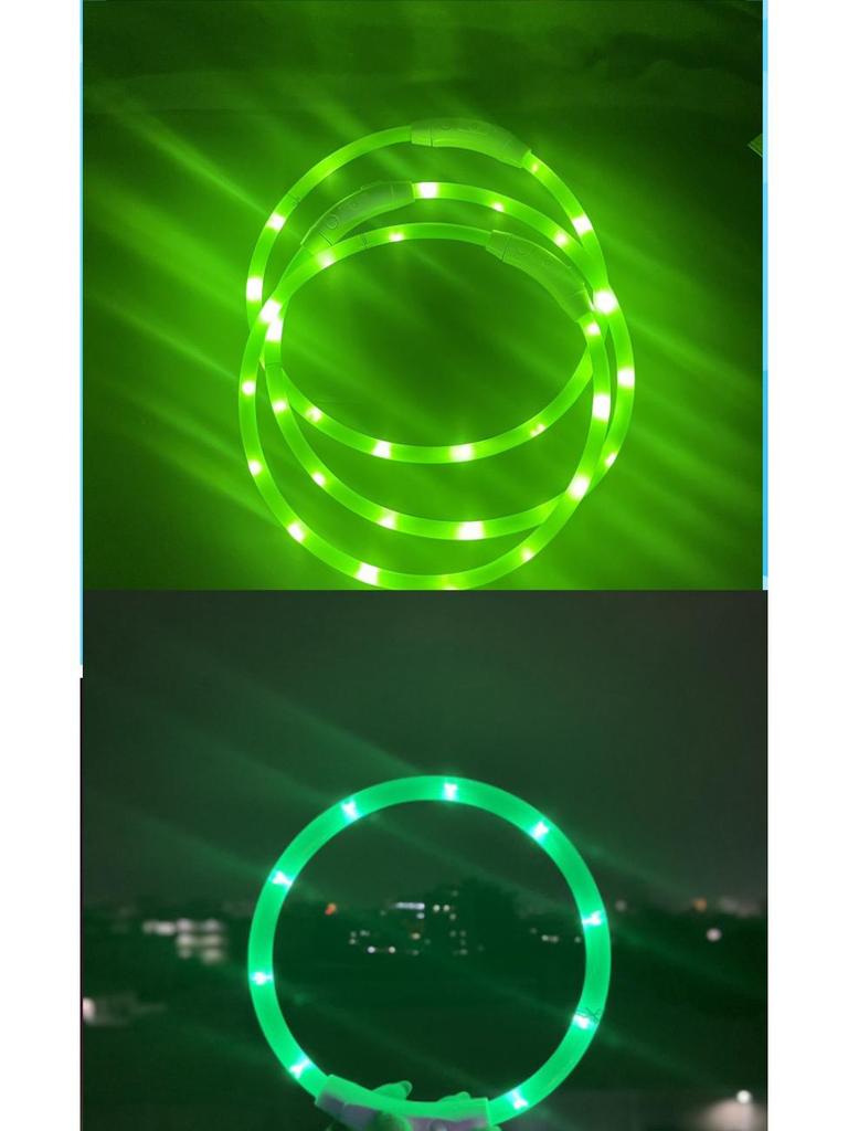 USB Rechargeable LED Dog Collar with Type C Port for Night Visibility