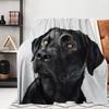 Фланелевый плед с принтом лабрадора, одеяло с черной собакой, одеяло для питомца, одеяло в подарок для любителей собак