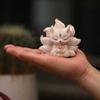 White Pink Nine-tailed Fox Miniatures Resin Articulated Animal Figurine Desktop Decoration