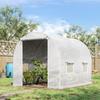 Tunnel Garden Greenhouse 6 m² 3L x 2W x 1.9H m Reinforced Galvanised Steel Diameter 2.4 cm + High Density PE Windows Door White