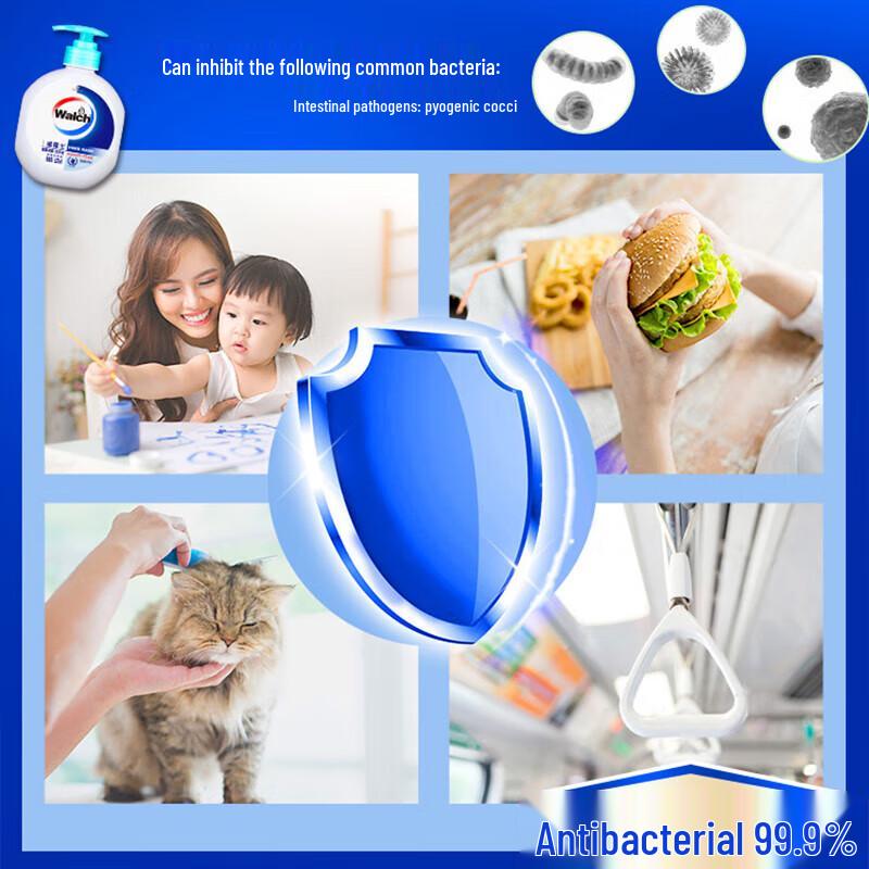 Walch Healthy Antibacterial Hand Soap Set