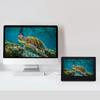 7-дюймовый монитор HDMI LCD IPS с полным углом обзора 1024 x 600 с корпусом для Raspberry Pi
