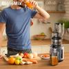 BioloMix HH‑916I Шнековая соковыжималка для медленного холодного отжима с широким горлом