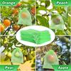 50pcs Garden Plant Protect Mesh Bag Mesh Against Pest Bird Fruit Protect Drawstring Net Bag For Fruits Tomatoes Flower Plant Bag