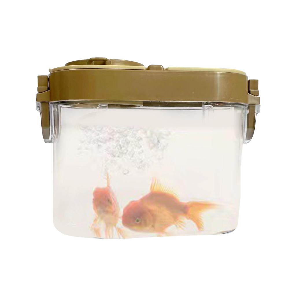 To Be an Insect Explorer Kit Bug Hunting Kit Early Childhood Education Outdoor Toy Bug Catcher Toy Set