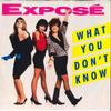 7inch Record EXPOSE - What You Don't Know / Walk Along Wi AS19836 ARISTA 1989 US Dance & Electronica Used