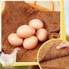 6 шт. Подстилка для куриного гнездового ящика, мягкая подкладка для курятника, кролика, птичьего гнезда, моющаяся подстилка для домашней птицы, для кур, цыплят