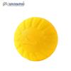 Durable EVA Dog Training Toys