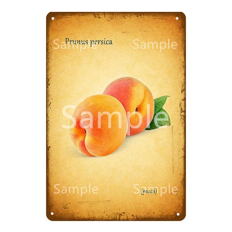 Памятная доска Thatchers Фрукты Бананы Металлическая вывеска Винтажное украшение фермы Домашний декор Наклейка на стену Магазин Живопись Постер для ресторана YL168