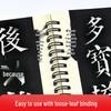 Классическая китайская каллиграфическая пропись Huaxia WanJuan