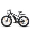 SPATIAL Parrot Men’S All-Terrain Electric Bicycle 250W Motor 48V13AH Battery Outdoor Riding Electric Bike 26 Inch Off-Road E-Mountain Bike