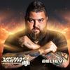 Michael Smith Believe Передний утяжелитель вольфрамовые профессиональные дротики с мягким наконечником, набор профессиональных дротиковых наконечников, новозеландский дизайн, унисекс, пластиковый наконечник