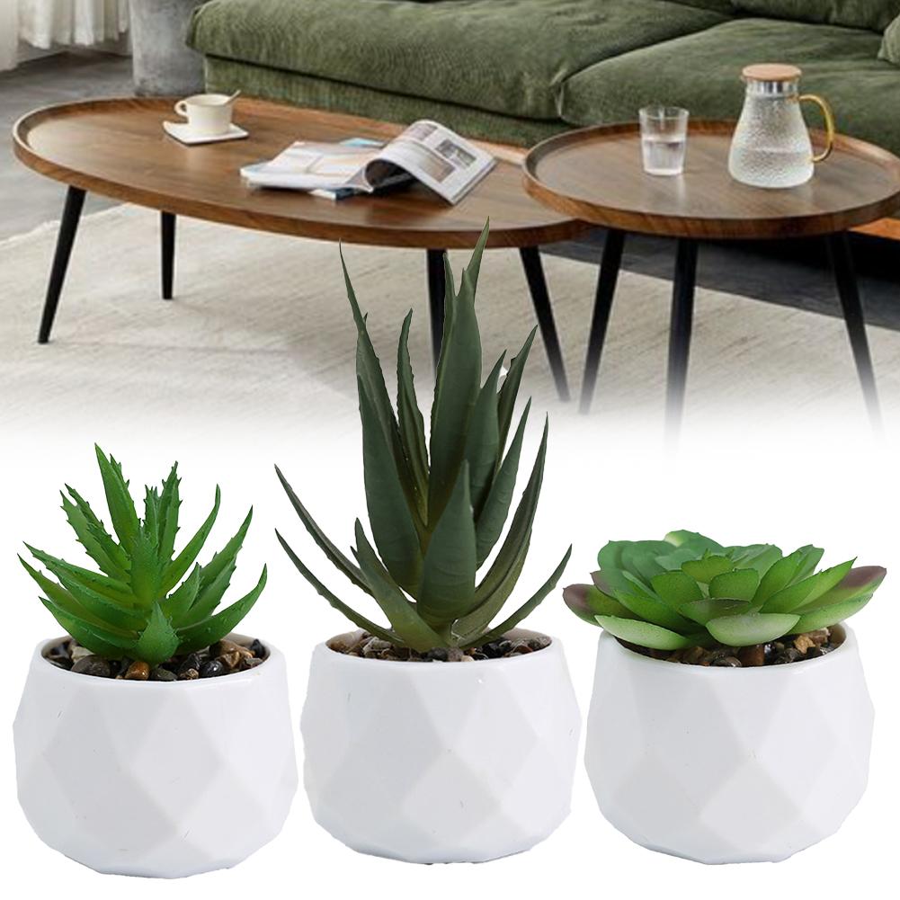 Искусственные суккуленты Декоративный цветочный горшок Элегантный дизайн