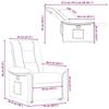 Relax Chair with Rising Function by Dark Brown Fabric