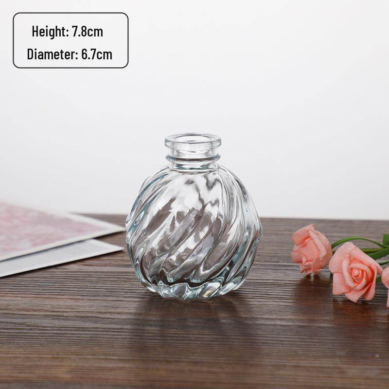 Small French Retro Glass Hydroponic Vase for Home Decor