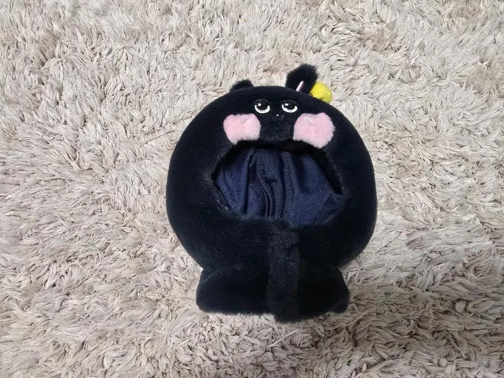 RIIZE Won Bin Tonak Duck cheering pole cape sale Used