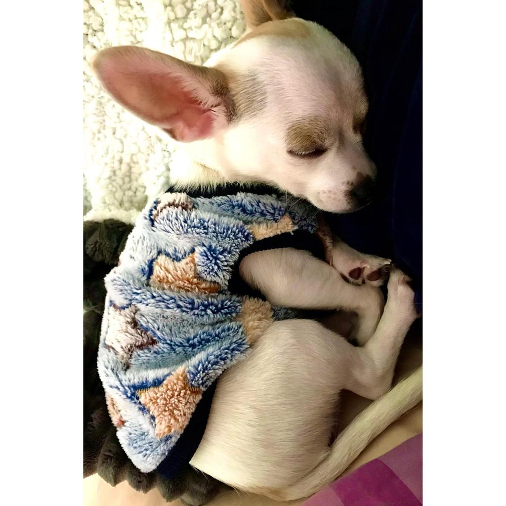 Fleece Pet Dog Clothes Soft Warm Vest Shirt Puppy Clothing for Dogs Coat Hoodie Pet Clothing