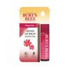 Burt S beeS Оттеночный бальзам для губ Магнолия 4,25 г