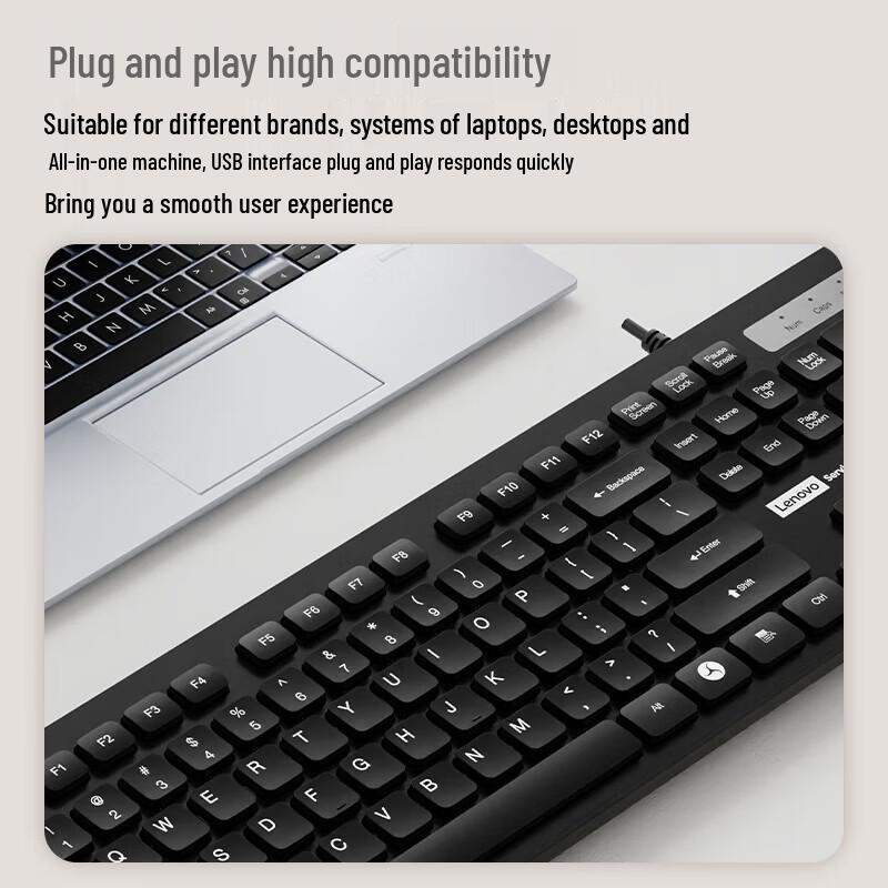 Lenovo KL31 Full-Size Wired USB Keyboard