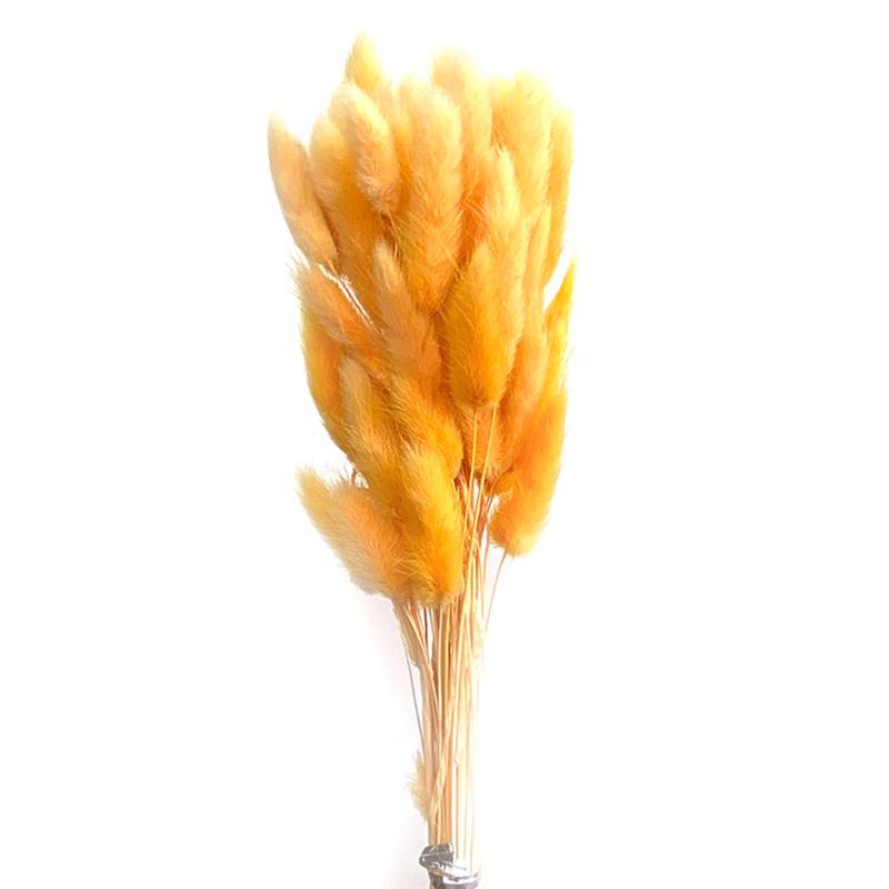 50 шт., букет из сухоцветов с изображением кролика и хвоста кролика, декор для свадебной вечеринки, пушистые пампасы, рождественская цветочная композиция своими руками