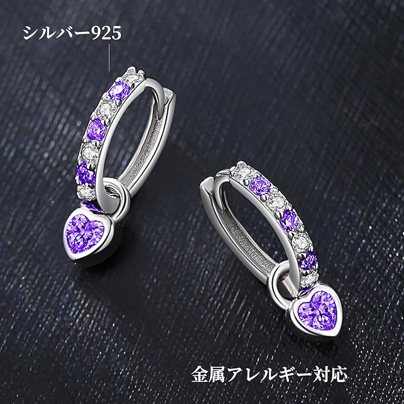 "Silver Thunder" Earrings Ladies Popularity High Quality Zirconia February Birthstone Amethyst Hoop Earrings Sway Compatible with Metal Allergies