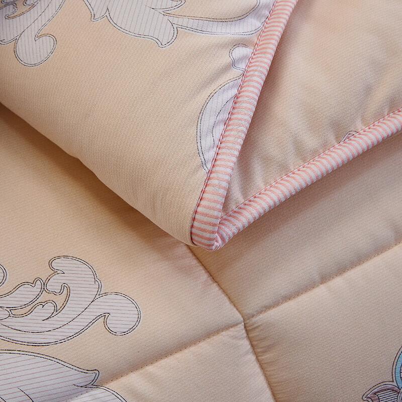 Yalu Elegant Feather Velvet Quilt