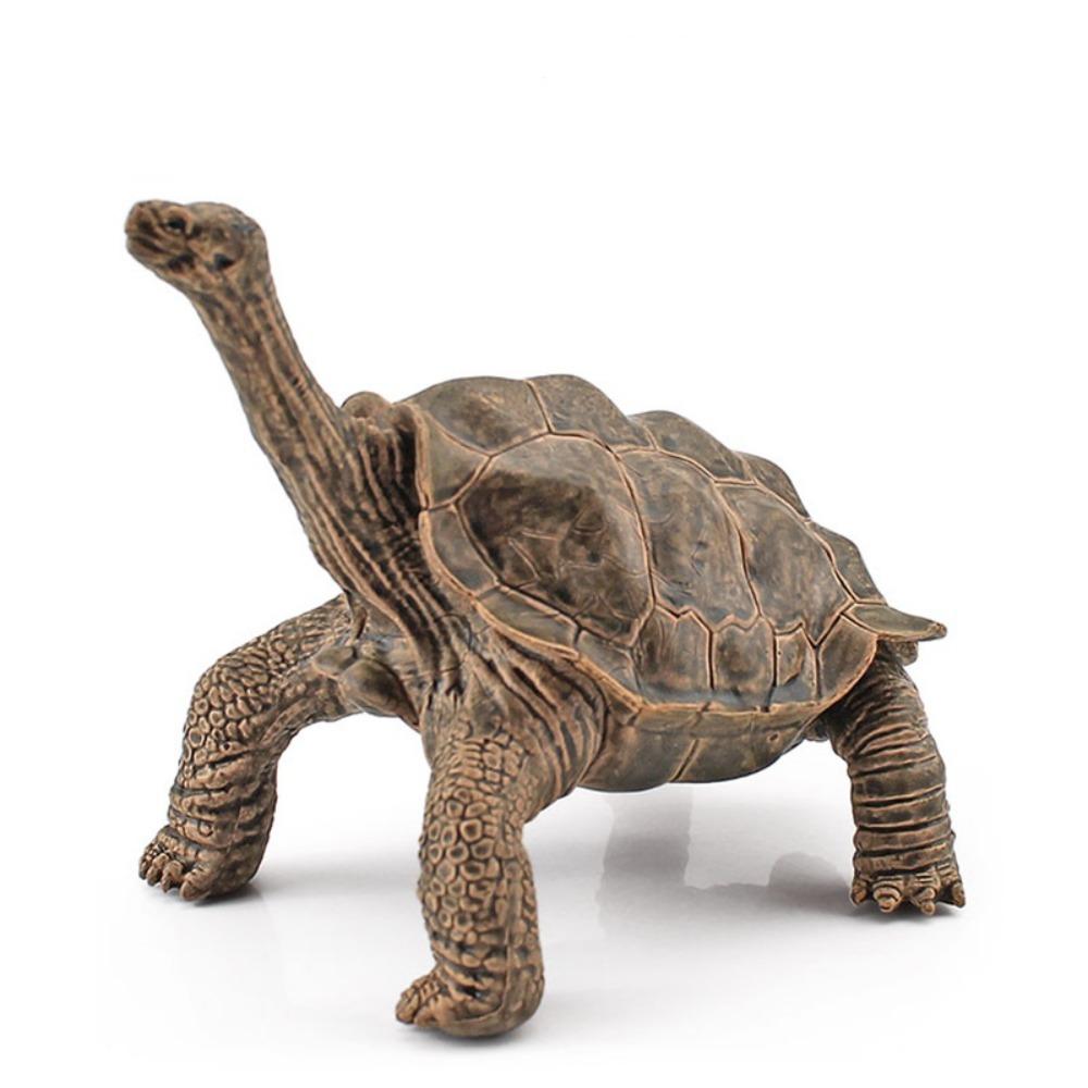 Realistic Turtle Action Figures Simulation Tortoise Animals Figurines Sea Turtle Model Collection