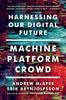 Книга Machine, Platform, Crowd : Harnessing Our Digital Future