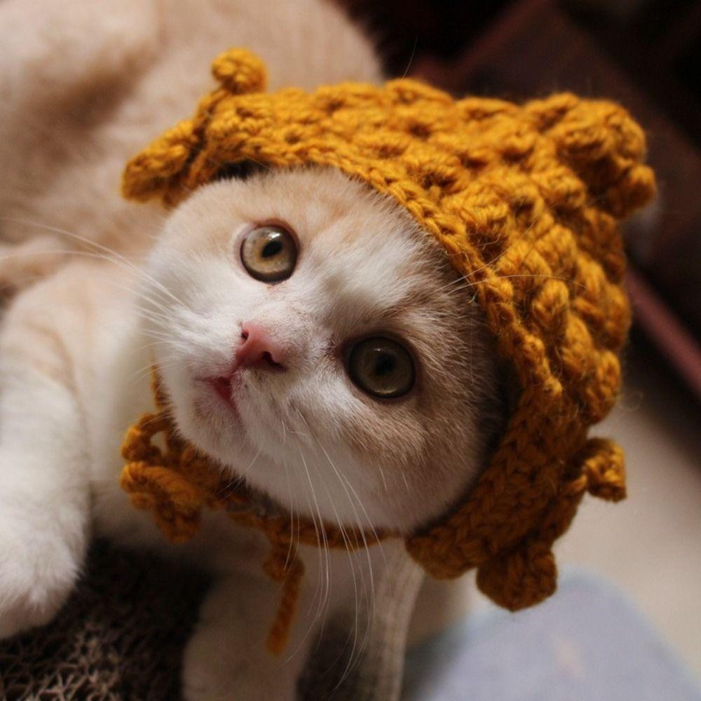 Cute Cat Hat Refined Knitted Hat New Pet Headwear