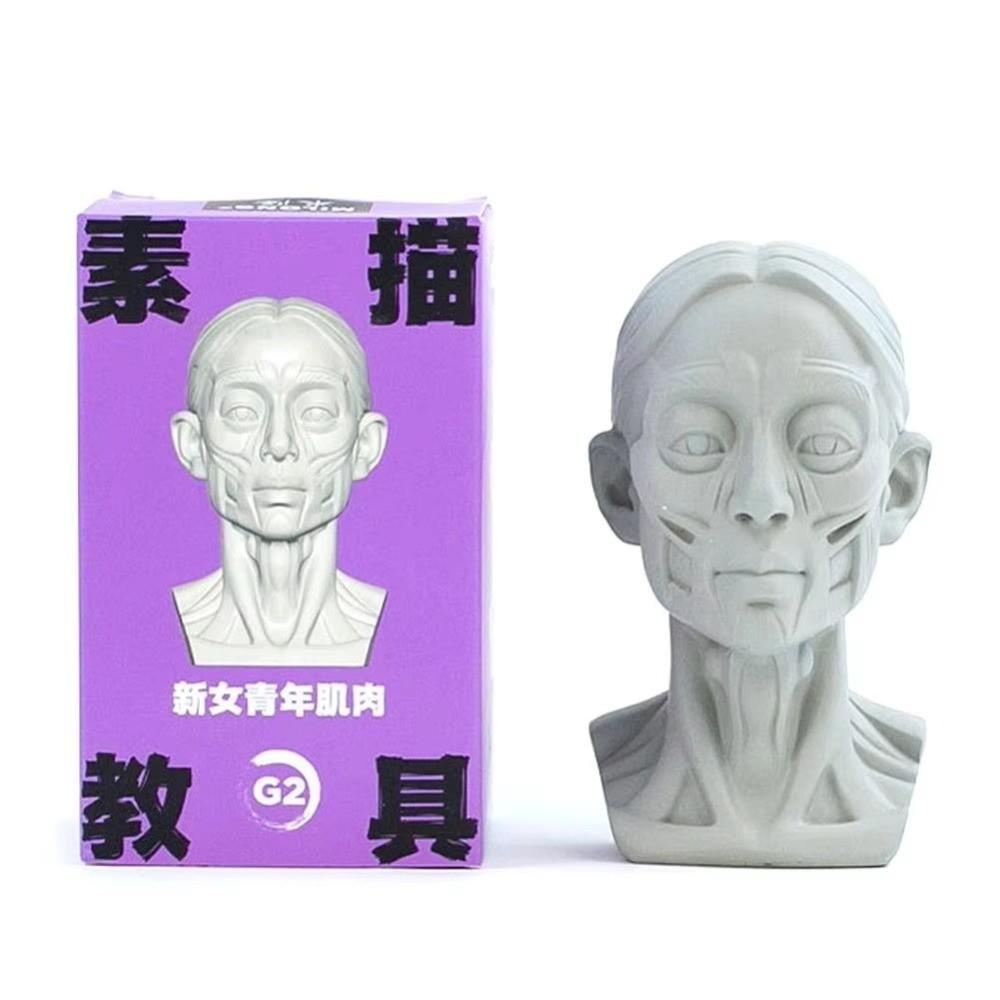 Натюрморт Орнамент Плоская Модель Головы Смола Эскиз Живопись Скульптура для Начинающих Художников