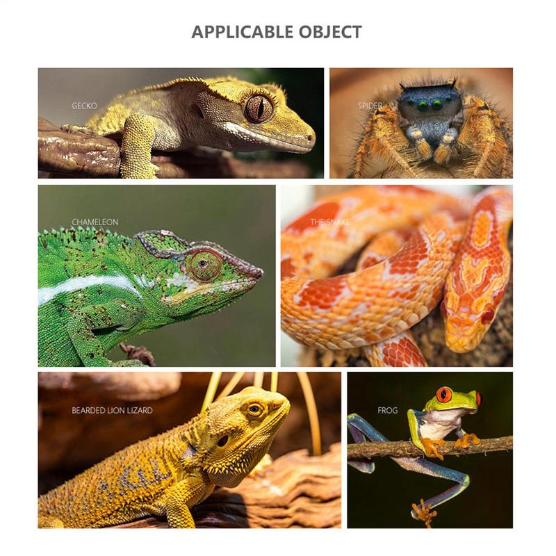 Reptile Wood Branches Resin Driftwood Climb Ornament Aquarium And Terrarium Decoration Climbing Rope Rack For Home Workplace