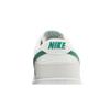 Nike Dunk Low 'Summit White Malachite' (унисекс) Кроссовки для скейтборда Summit White / Malachite DV0831 107