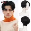 Short Straight Middle Part Hair Wigs For Men Boy Cosplay Party Natural Black Synthetic Heat Resistant Fake Hair Wig
