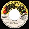 7-дюймовая пластинка FRAGGA RANKS What You Really Can Do SIN1907 Sinbad Producti Ямайка Регги Ска Даб Б/у