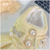 Fleece Warm Winter Dog Princess Dress, Soft Thick Plush Pet Skirt Clothes For Maltese Yorkie Teddy Small Dogs
