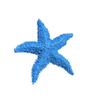 Cute Starfish Ornaments Resin Sea Stars Decoration Simulation Starfish  Wedding