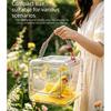 Portable Parrot Takeaway Cage Transparent Bird Travel Cage Portable Carrier Bird Carrier  Camping