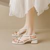 Sandals Women's Summer Outer Wear 2024 New Summer Thick Heel Fairy Wind Toe Roman Shoes Straps High Heels Women's Large Size