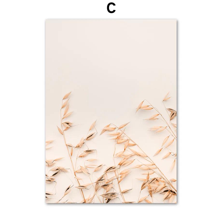 Бежевый Растение Трава Листья Одуванчик Камыши Постеры и Принты Холст Живопись Скандинавское Настенное Искусство Картины для Гостиной Домашний Декор